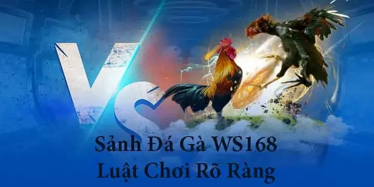 Hướng Dẫn Chơi Đá Gà WS168 Tại 888Slot Đỉnh Cao Nhận Thưởng Lớn