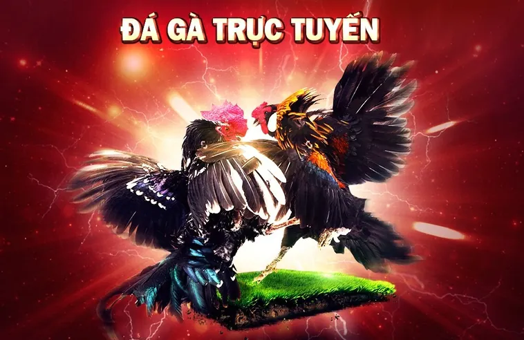 Trải Nghiệm Cá Cược Đá Gà 888Slot Đỉnh Cao Săn Thưởng Lớn Ngay Hôm Nay