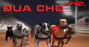 Tuyệt Chiêu Soi Kèo Đua Chó 888Slot Chính Xác Nhất Dành Cho Cao Thủ